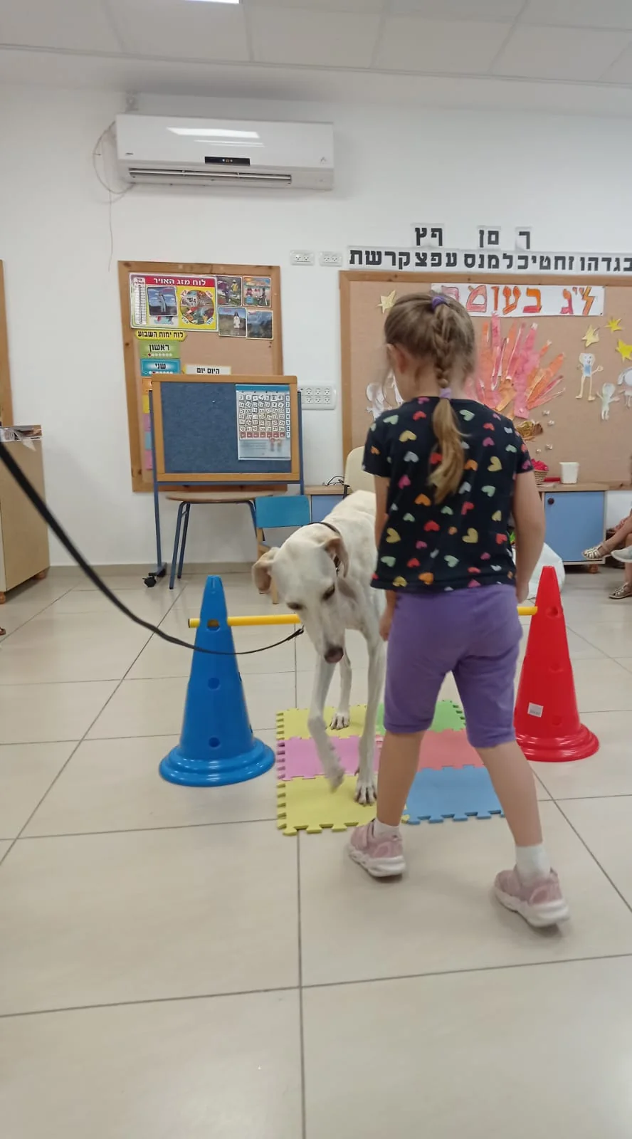 משתתפים פוגשים כלב במסגרת פעילות טיפולית קבוצתית